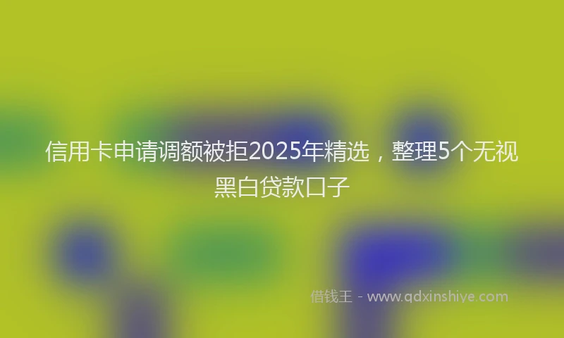 信用卡申请调额被拒2025年精选，整理5个无视黑白贷款口子