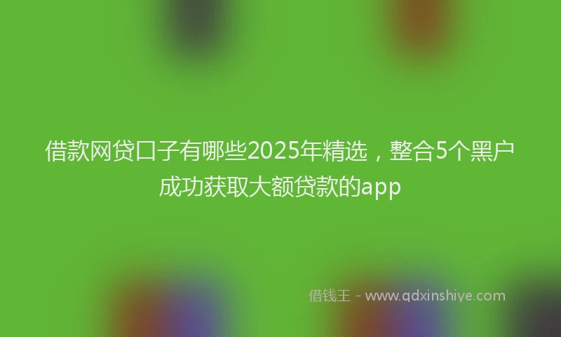 借款网贷口子有哪些2025年精选，整合5个黑户成功获取大额贷款的app