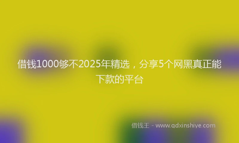 借钱1000够不2025年精选，分享5个网黑真正能下款的平台