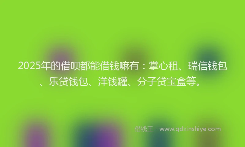 2025年的借呗都能借钱嘛有：掌心租、瑞信钱包、乐贷钱包、洋钱罐、分子贷宝盒等。