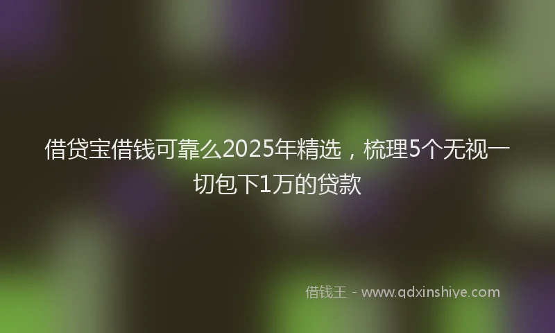 借贷宝借钱可靠么2025年精选，梳理5个无视一切包下1万的贷款