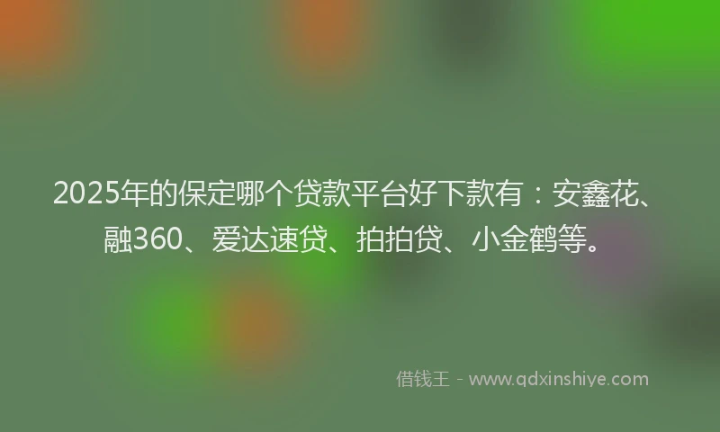 2025年的保定哪个贷款平台好下款有：安鑫花、融360、爱达速贷、拍拍贷、小金鹤等。