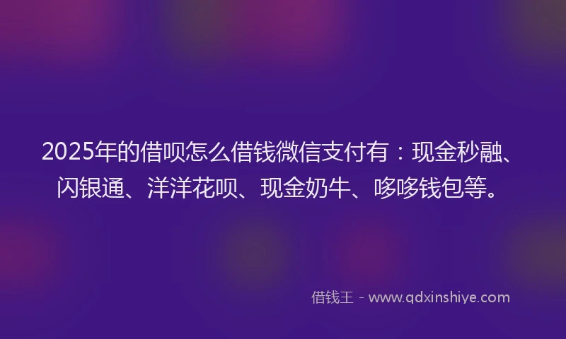 2025年的借呗怎么借钱微信支付有：现金秒融、闪银通、洋洋花呗、现金奶牛、哆哆钱包等。