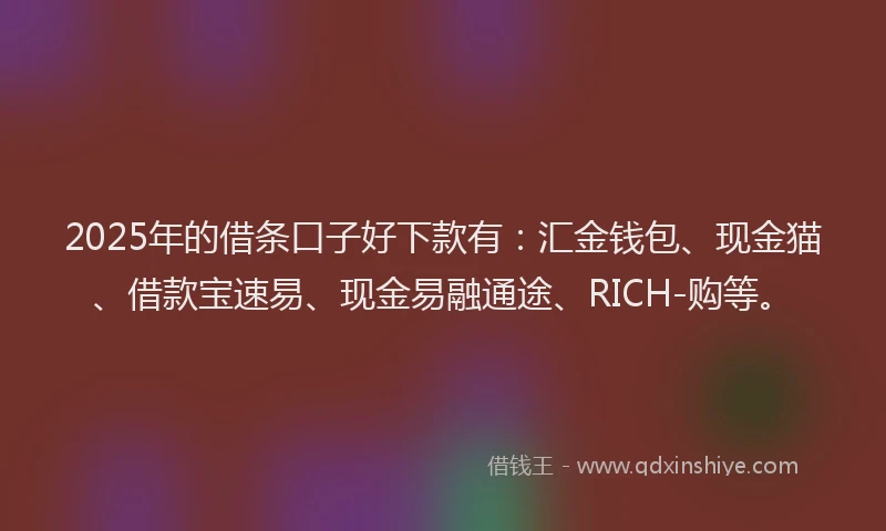 2025年的借条口子好下款有：汇金钱包、现金猫、借款宝速易、现金易融通途、RICH-购等。