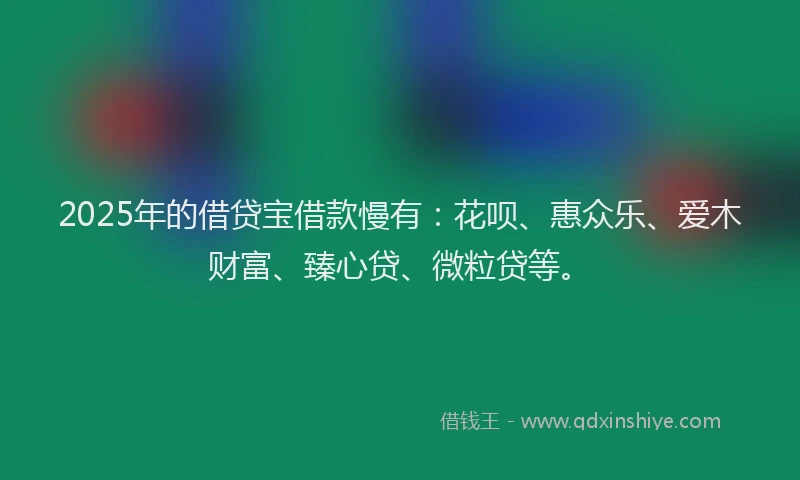 2025年的借贷宝借款慢有：花呗、惠众乐、爱木财富、臻心贷、微粒贷等。