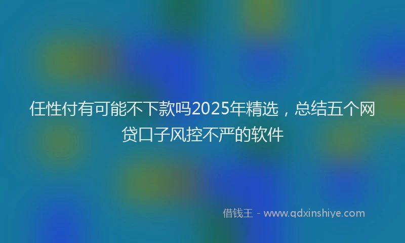 任性付有可能不下款吗2025年精选，总结五个网贷口子风控不严的软件