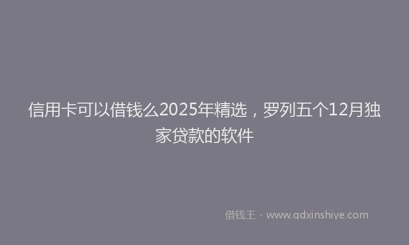 信用卡可以借钱么2025年精选，罗列五个12月独家贷款的软件