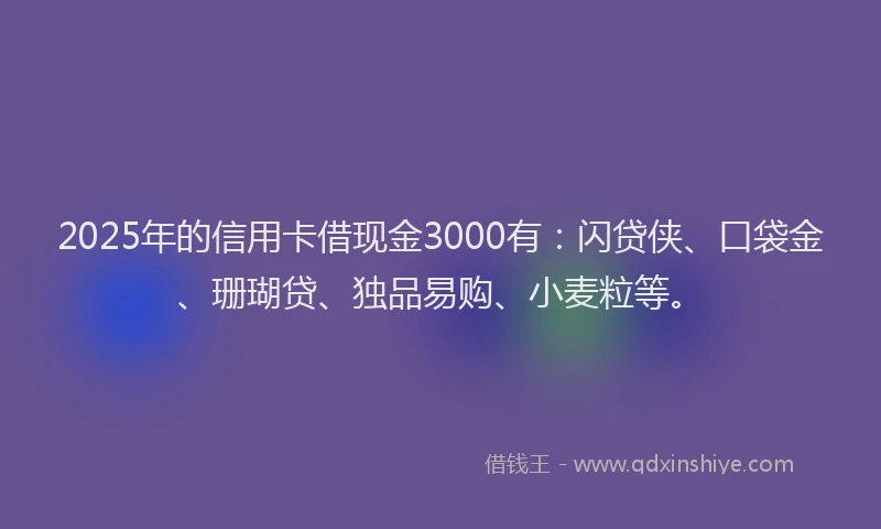 2025年的信用卡借现金3000有：闪贷侠、口袋金、珊瑚贷、独品易购、小麦粒等。