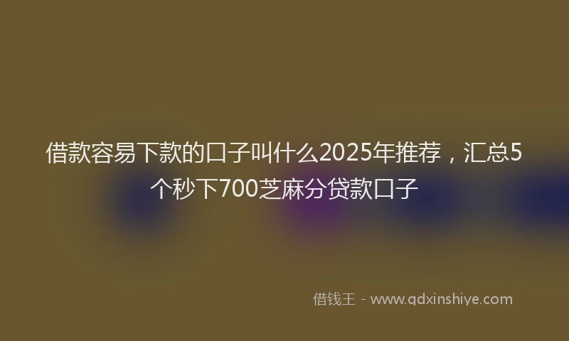 借款容易下款的口子叫什么2025年推荐，汇总5个秒下700芝麻分贷款口子