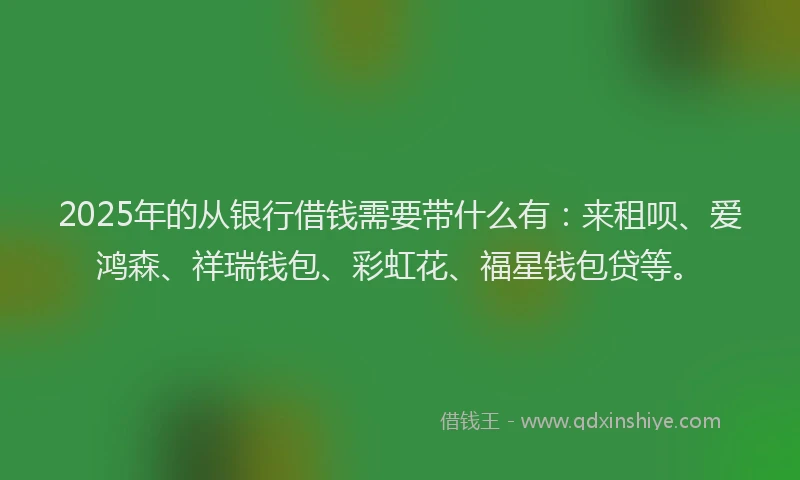 2025年的从银行借钱需要带什么有：来租呗、爱鸿森、祥瑞钱包、彩虹花、福星钱包贷等。