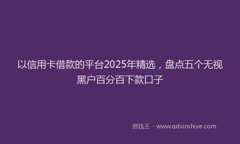 以信用卡借款的平台2025年精选，盘点五个无视黑户百分百下款口子