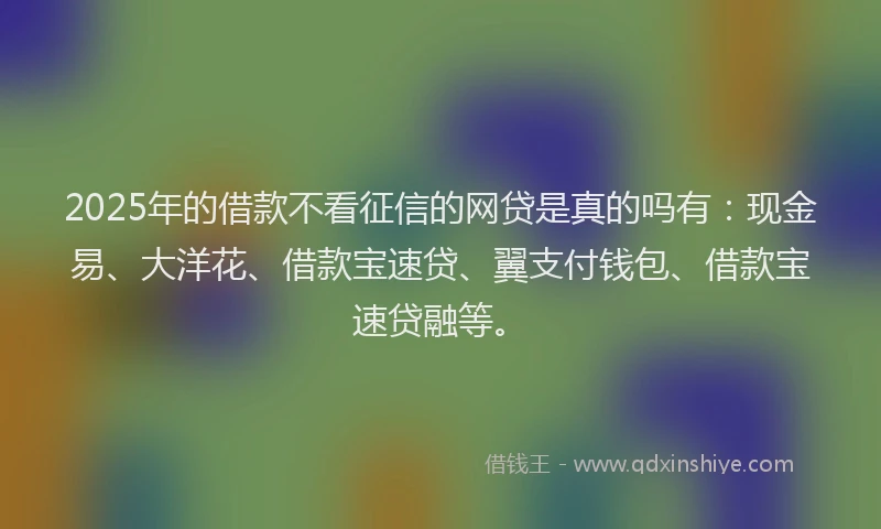 2025年的借款不看征信的网贷是真的吗有：现金易、大洋花、借款宝速贷、翼支付钱包、借款宝速贷融等。