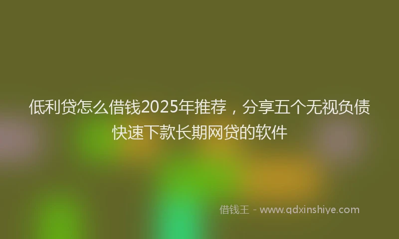 低利贷怎么借钱2025年推荐，分享五个无视负债快速下款长期网贷的软件
