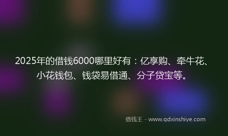 2025年的借钱6000哪里好有：亿享购、牵牛花、小花钱包、钱袋易借通、分子贷宝等。