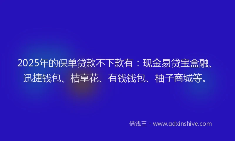 2025年的保单贷款不下款有：现金易贷宝盒融、迅捷钱包、桔享花、有钱钱包、柚子商城等。