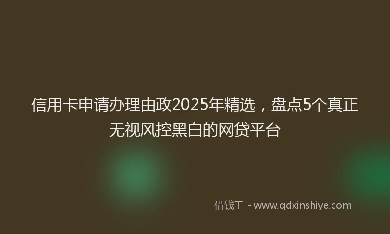 信用卡申请办理由政2025年精选，盘点5个真正无视风控黑白的网贷平台