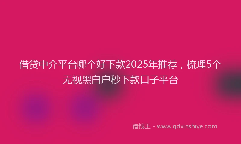 借贷中介平台哪个好下款2025年推荐，梳理5个无视黑白户秒下款口子平台