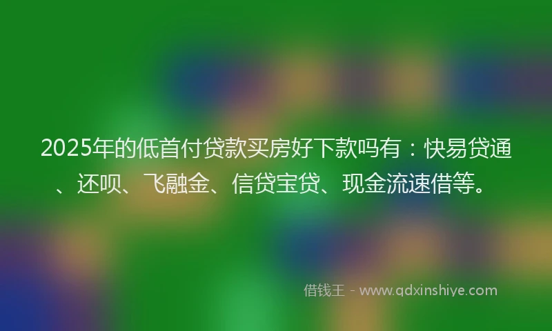 2025年的低首付贷款买房好下款吗有：快易贷通、还呗、飞融金、信贷宝贷、现金流速借等。