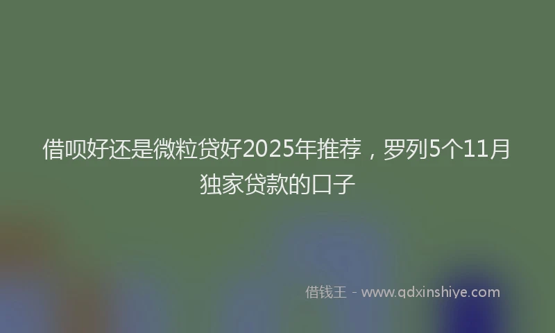 借呗好还是微粒贷好2025年推荐，罗列5个11月独家贷款的口子