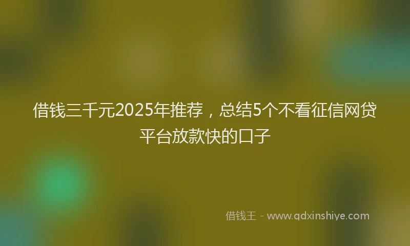借钱三千元2025年推荐，总结5个不看征信网贷平台放款快的口子