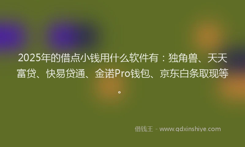 2025年的借点小钱用什么软件有：独角兽、天天富贷、快易贷通、金诺Pro钱包、京东白条取现等。