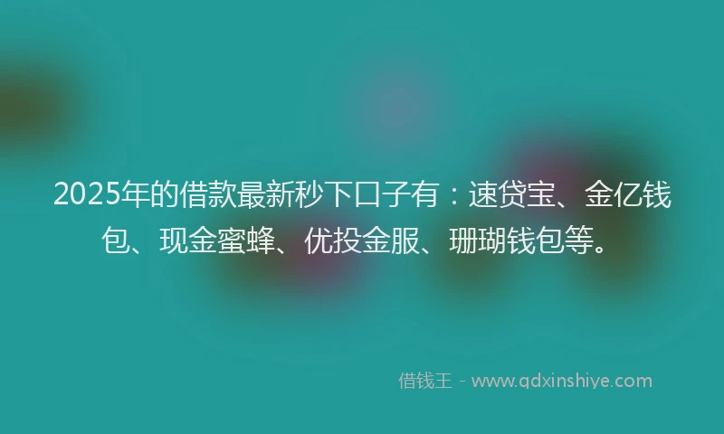 2025年的借款最新秒下口子有：速贷宝、金亿钱包、现金蜜蜂、优投金服、珊瑚钱包等。