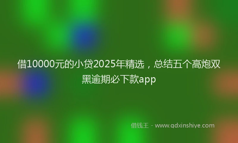 借10000元的小贷2025年精选，总结五个高炮双黑逾期必下款app