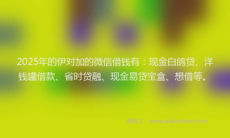 2025年的伊对加的微信借钱有：现金白鸽贷、洋钱罐借款、省时贷融、现金易贷宝盒、想借等。