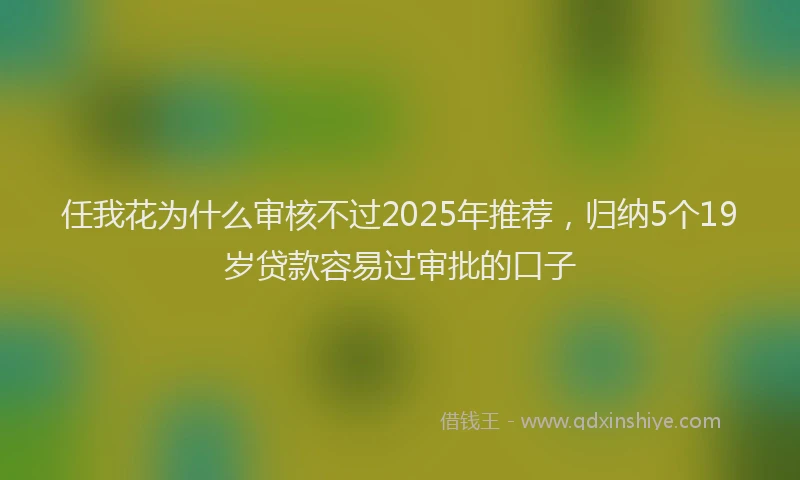任我花为什么审核不过2025年推荐，归纳5个19岁贷款容易过审批的口子