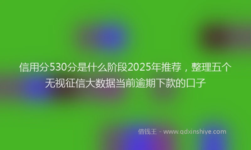 信用分530分是什么阶段2025年推荐，整理五个无视征信大数据当前逾期下款的口子