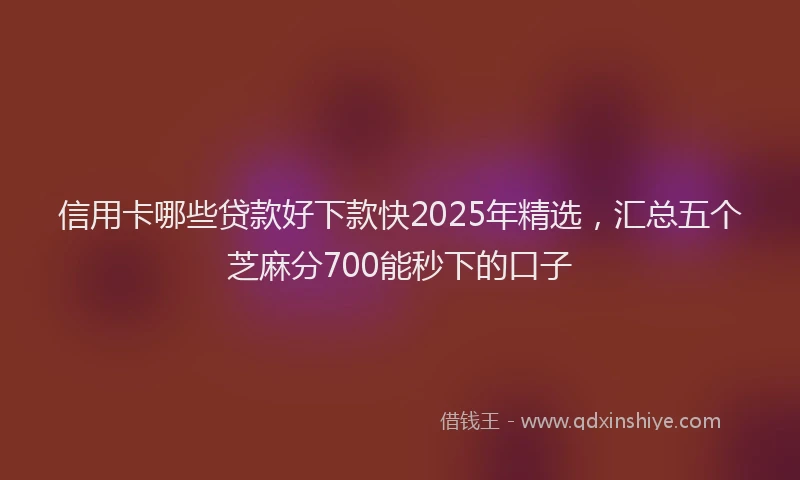 信用卡哪些贷款好下款快2025年精选，汇总五个芝麻分700能秒下的口子
