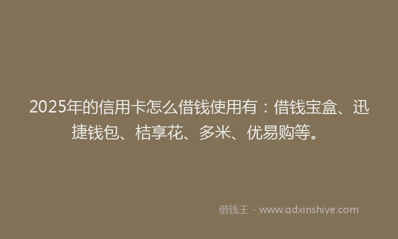 2025年的信用卡怎么借钱使用有：借钱宝盒、迅捷钱包、桔享花、多米、优易购等。
