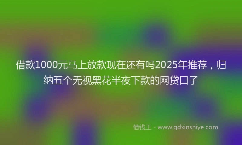 借款1000元马上放款现在还有吗2025年推荐，归纳五个无视黑花半夜下款的网贷口子