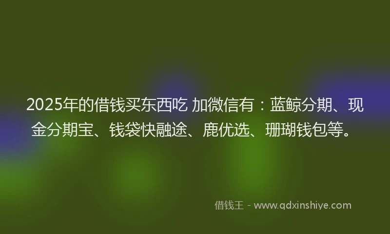 2025年的借钱买东西吃 加微信有：蓝鲸分期、现金分期宝、钱袋快融途、鹿优选、珊瑚钱包等。
