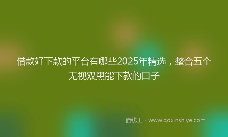 借款好下款的平台有哪些2025年精选，整合五个无视双黑能下款的口子