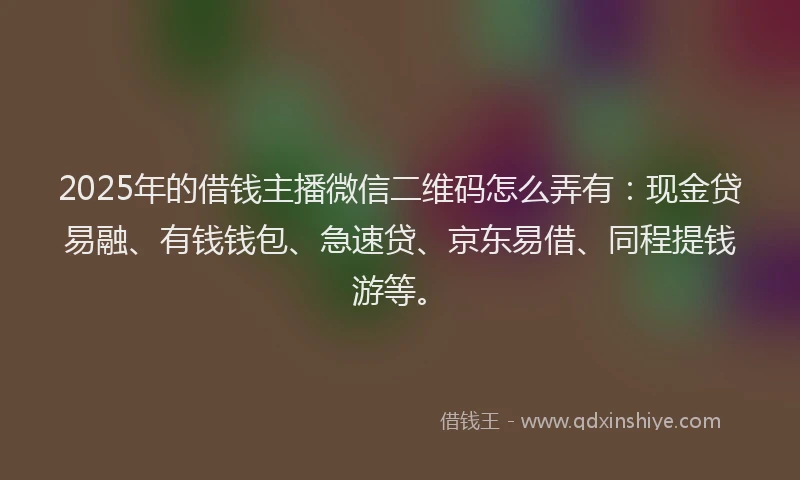 2025年的借钱主播微信二维码怎么弄有：现金贷易融、有钱钱包、急速贷、京东易借、同程提钱游等。