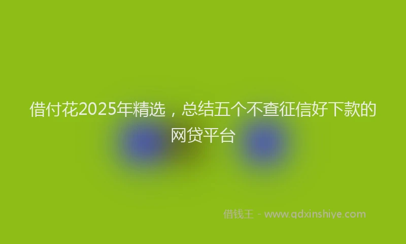 借付花2025年精选，总结五个不查征信好下款的网贷平台