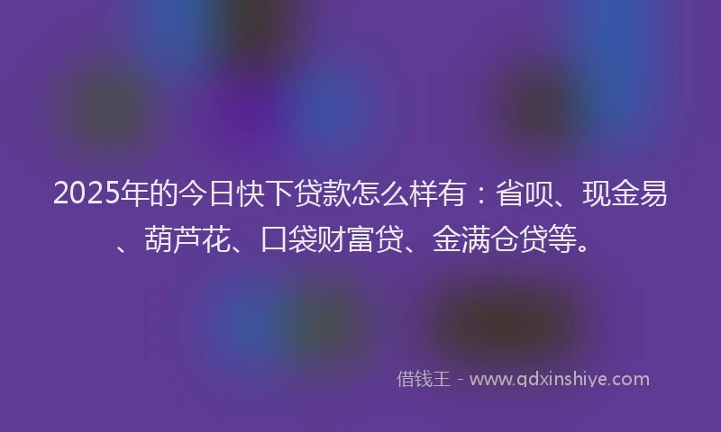 2025年的今日快下贷款怎么样有：省呗、现金易、葫芦花、口袋财富贷、金满仓贷等。