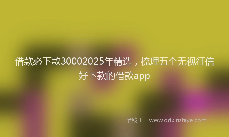 借款必下款30002025年精选，梳理五个无视征信好下款的借款app