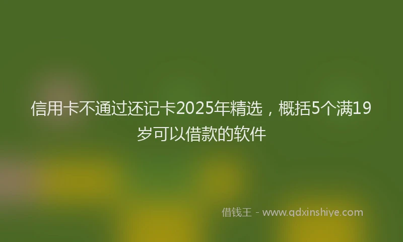 信用卡不通过还记卡2025年精选，概括5个满19岁可以借款的软件
