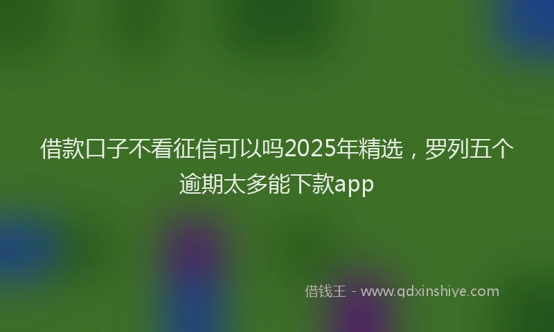 借款口子不看征信可以吗2025年精选，罗列五个逾期太多能下款app