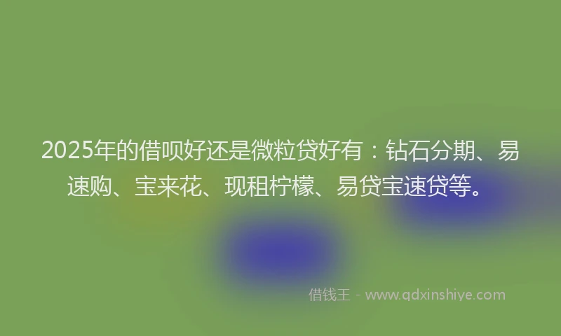 2025年的借呗好还是微粒贷好有：钻石分期、易速购、宝来花、现租柠檬、易贷宝速贷等。