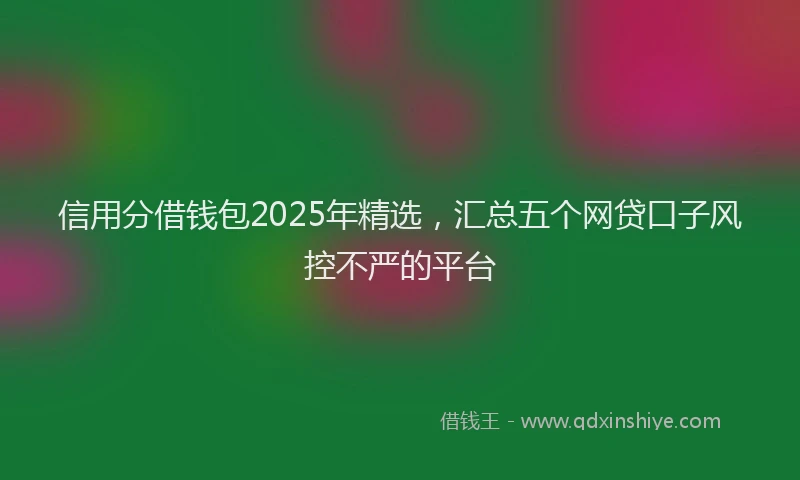 信用分借钱包2025年精选，汇总五个网贷口子风控不严的平台