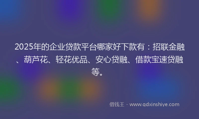 2025年的企业贷款平台哪家好下款有：招联金融、葫芦花、轻花优品、安心贷融、借款宝速贷融等。