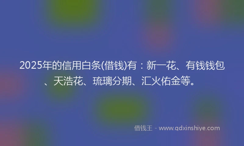 2025年的信用白条(借钱)有：新一花、有钱钱包、天浩花、琉璃分期、汇火佑金等。