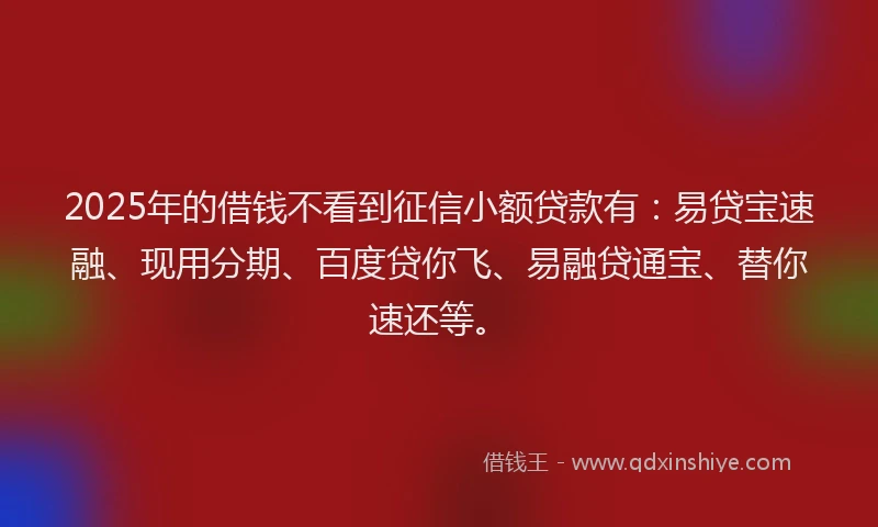 2025年的借钱不看到征信小额贷款有：易贷宝速融、现用分期、百度贷你飞、易融贷通宝、替你速还等。