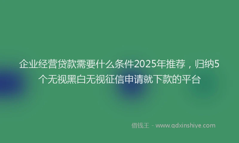 企业经营贷款需要什么条件2025年推荐，归纳5个无视黑白无视征信申请就下款的平台