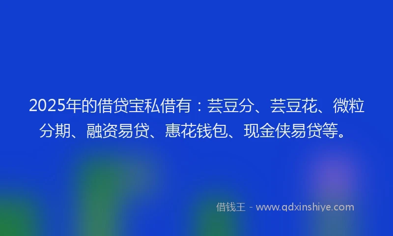 2025年的借贷宝私借有：芸豆分、芸豆花、微粒分期、融资易贷、惠花钱包、现金侠易贷等。