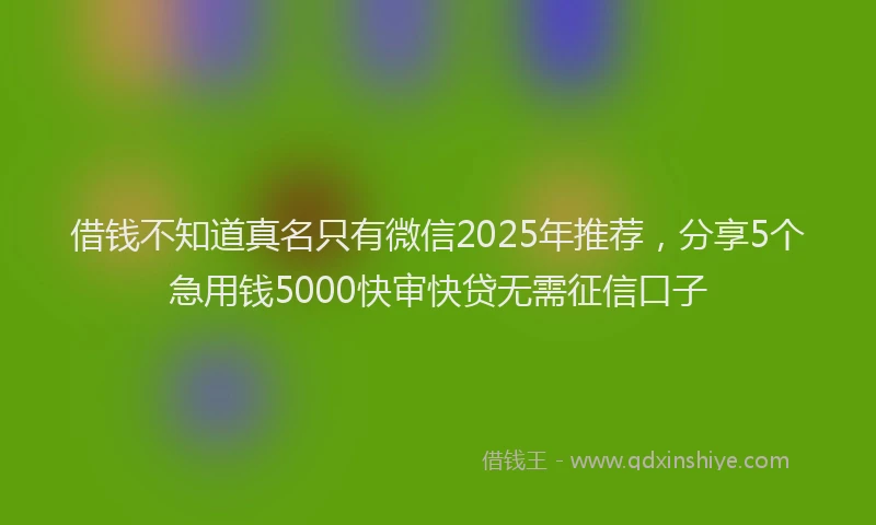 借钱不知道真名只有微信2025年推荐，分享5个急用钱5000快审快贷无需征信口子