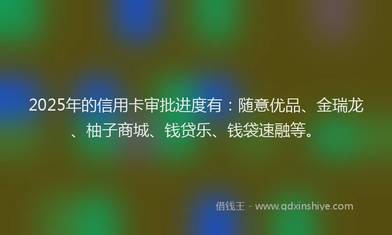 2025年的信用卡审批进度有：随意优品、金瑞龙、柚子商城、钱贷乐、钱袋速融等。